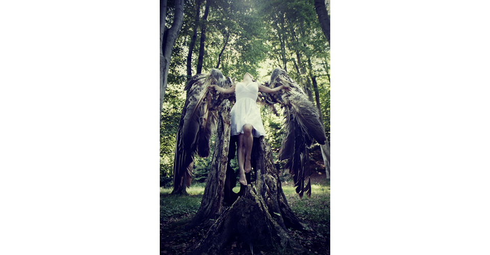 levitation, self portrait, post-processing, Photoshop, conceptual, bird, fly, take off, forest, Behind the scenes