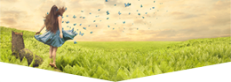 Jenny Jacobsson - Newsletter Header - The elation - small