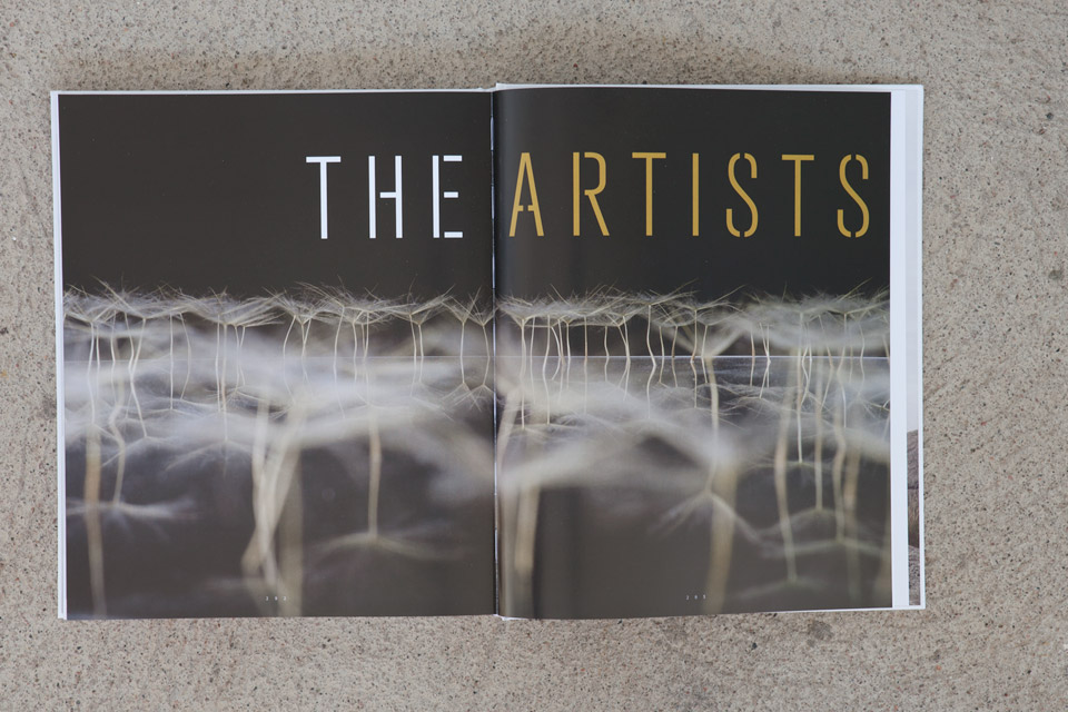 Project published in book ‘INTERNATIONAL FLORAL ART 2016/2017’