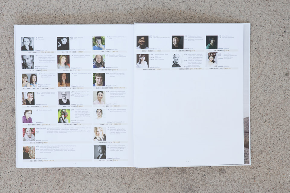 Project published in book ‘INTERNATIONAL FLORAL ART 2016/2017’