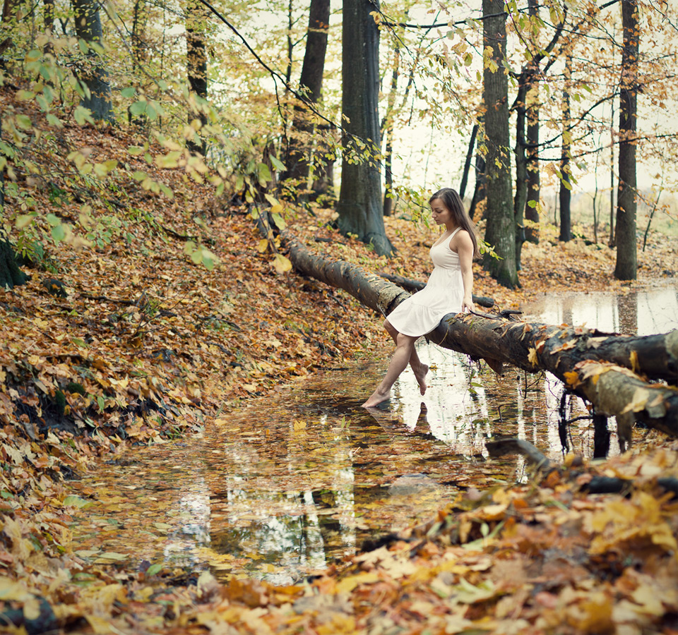 ‘THE REFLECTION OF AUTUMN’