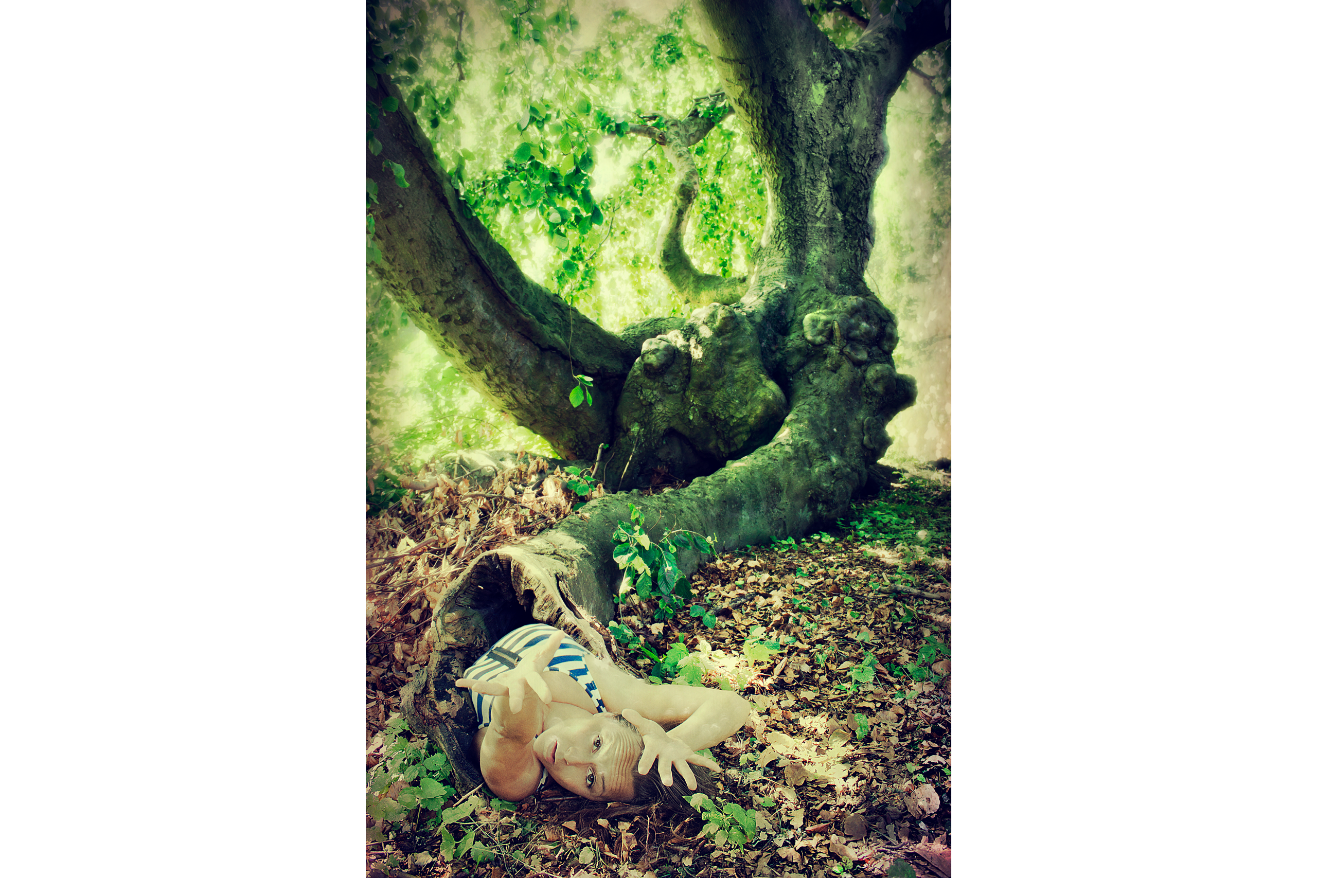 To surrender to the Force of Nature